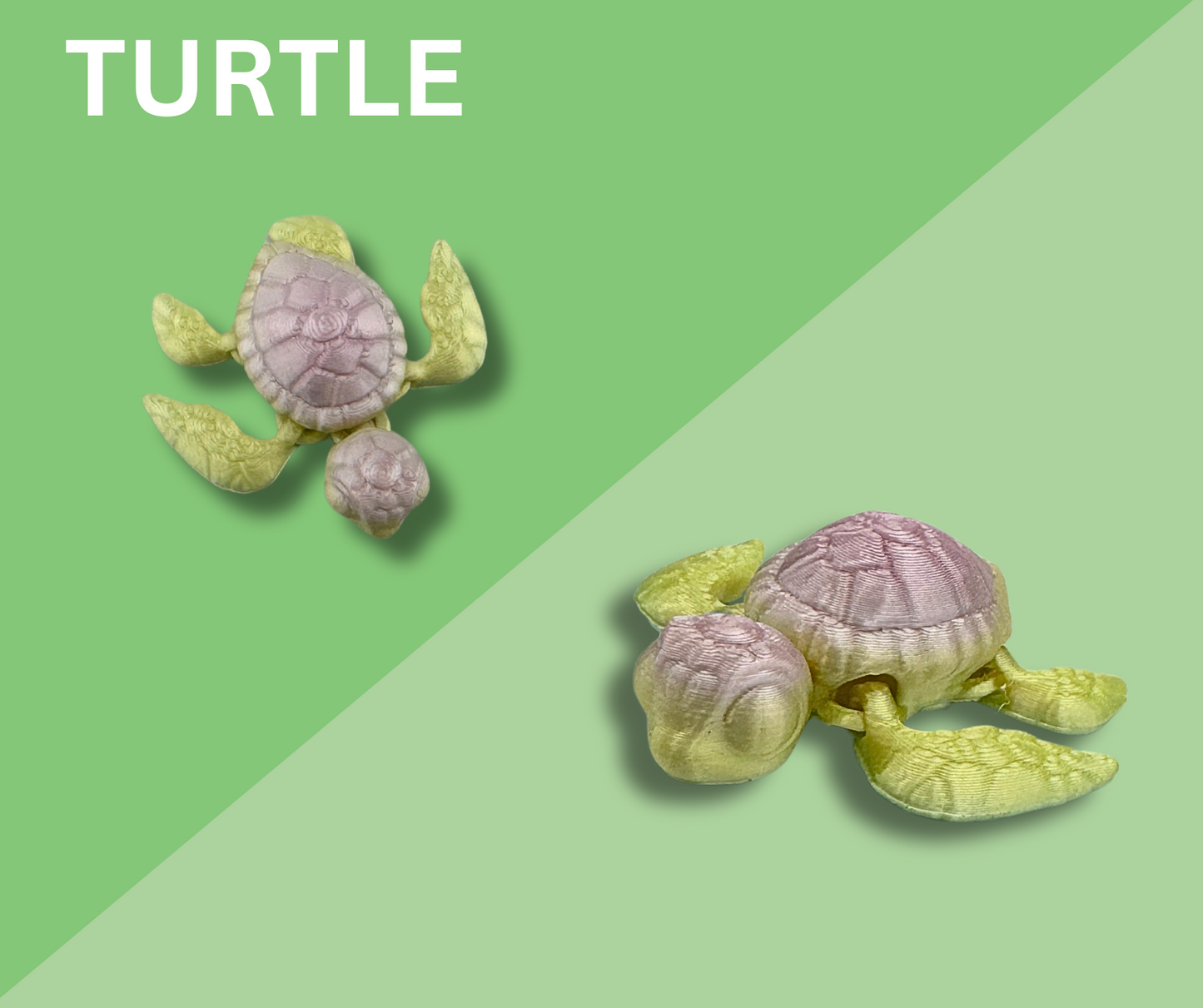 Turtle