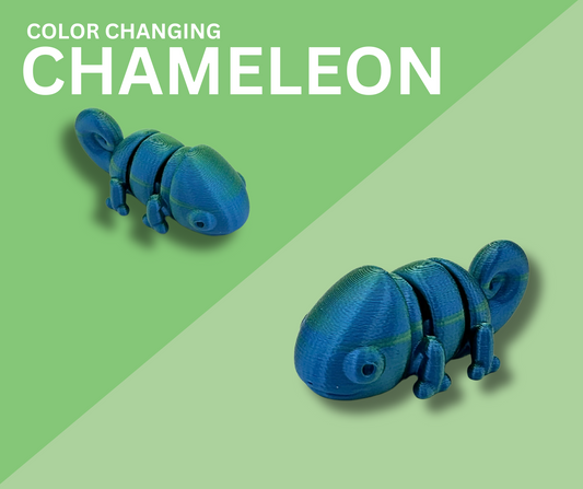 Color-Changing Chameleon