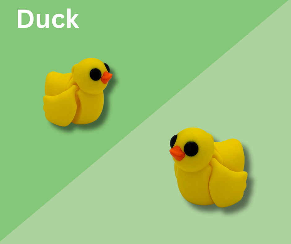 Duck